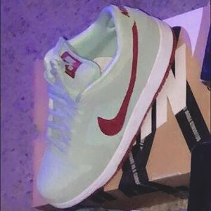 Nike Sb dunk low mint green
